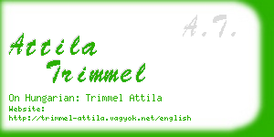 attila trimmel business card